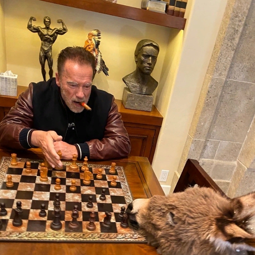 Арнольд Шварценеггер играет в шахматы с осликом.
